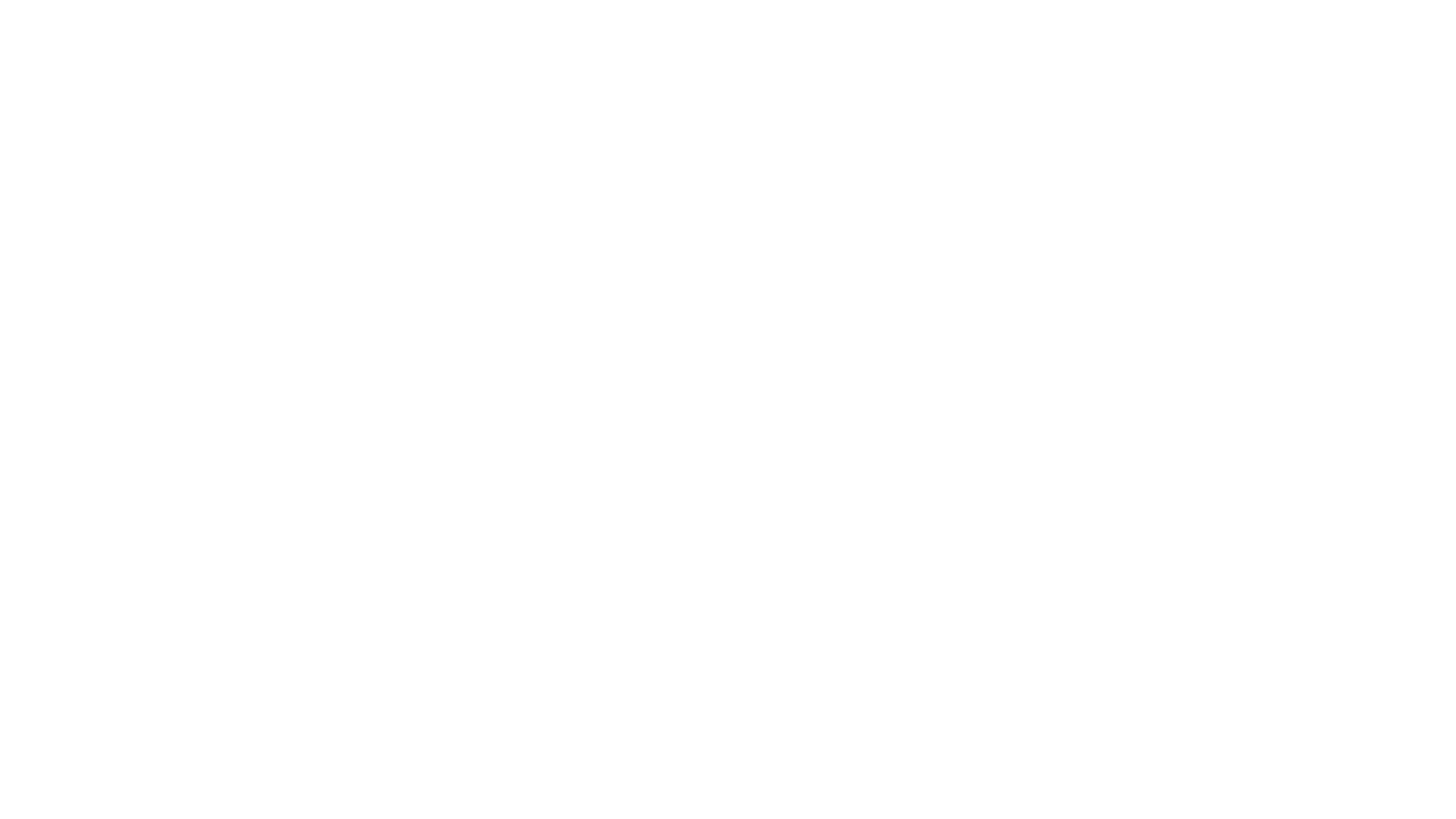 NETSHOW Splash